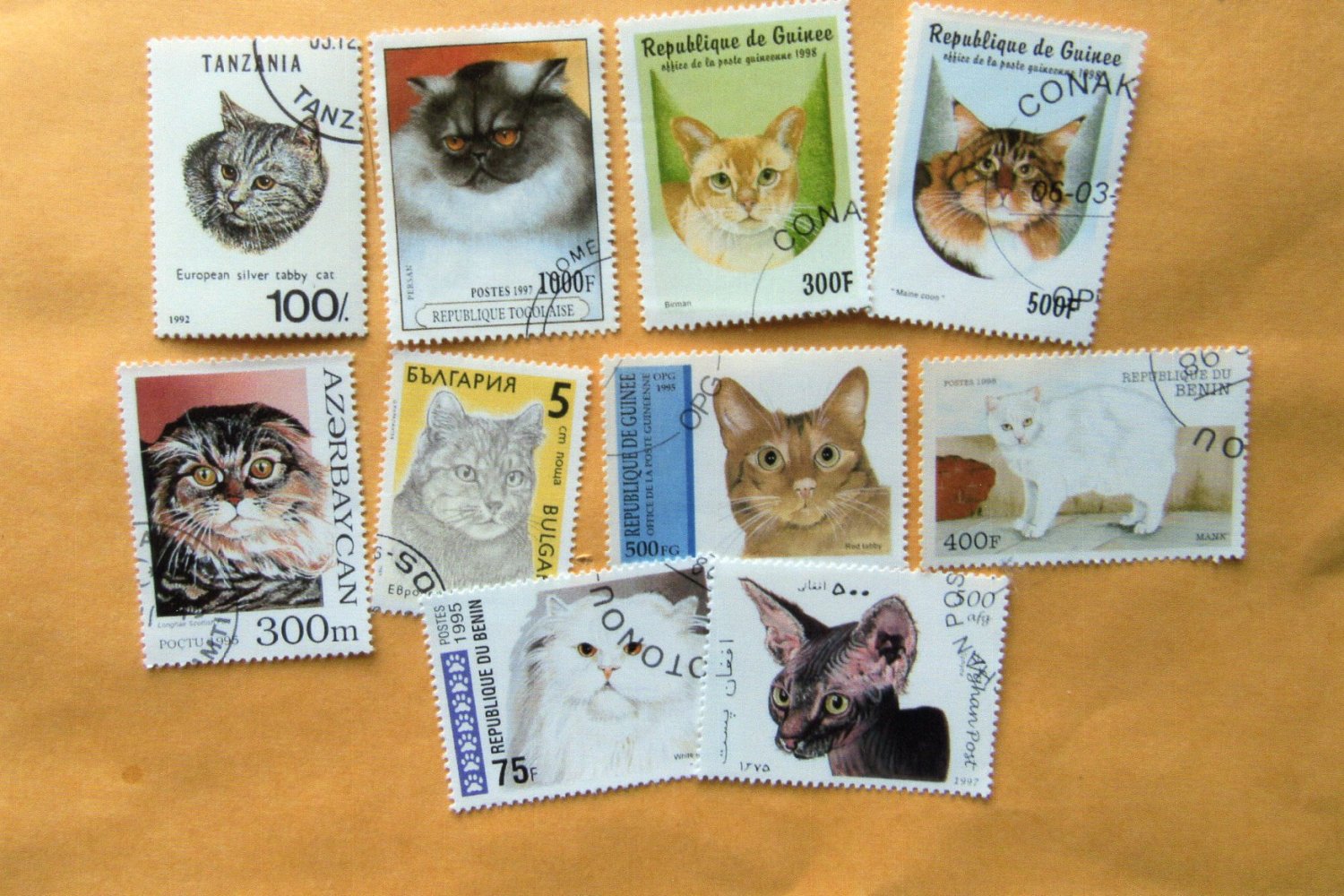 Worldwide Cat Postage Stamps Miniature Art Lot of Ten Used Collection