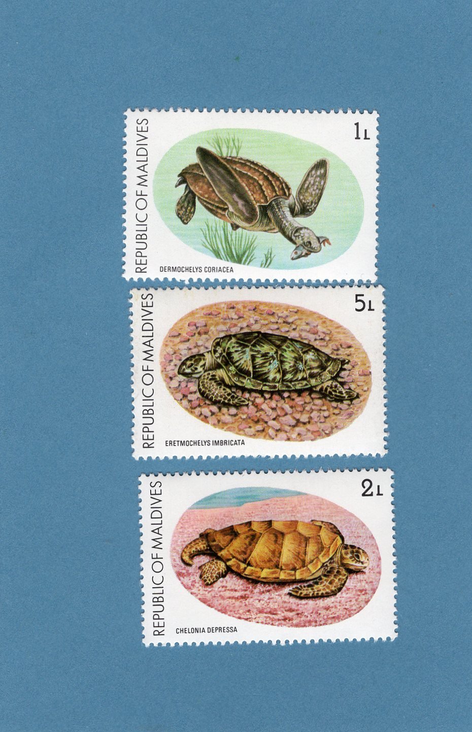 Three Sea Turtles Postage Stamps, Republic of Maldives, Vintage, Marine ...