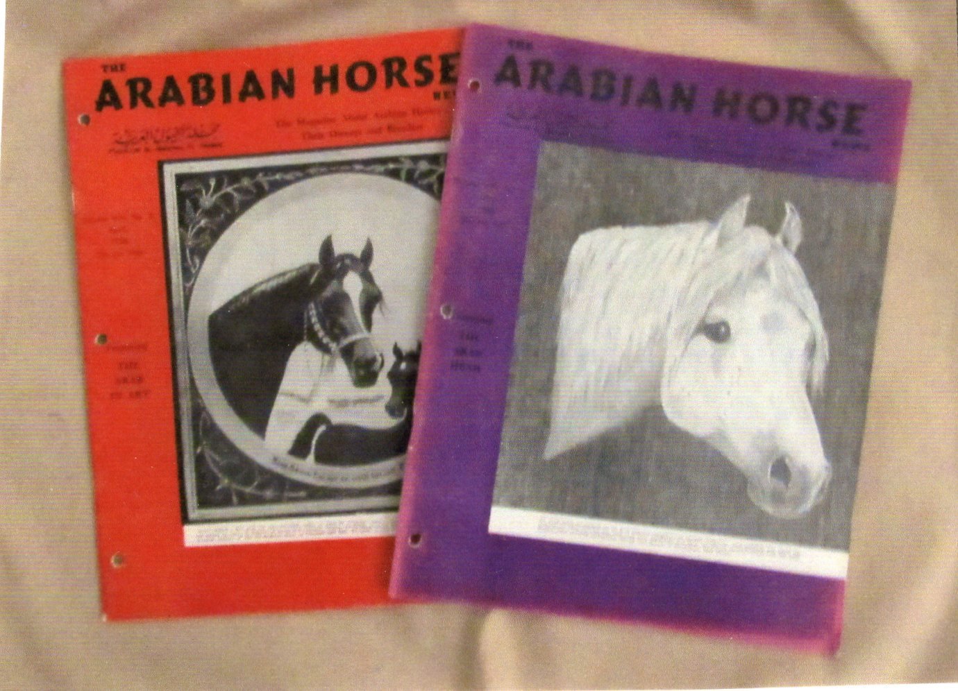 Arabian Horse News Magazine Head Studies Miniature Art, Collectible, Two Issues