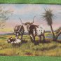 Texas Longhorns Vintage Postcard Ranch Linen