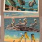 Pelicans On Shore Linen Vintage Postcards, Amazing Birds, Florida Avian