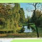 The Botanic Gardens, Dublin City, Ireland Chrome Postcard, Weeping Willow, Glasnevin