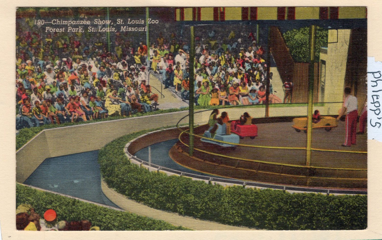 Chimpanzee Show, St. Louis Zoo, Forest Park, Missouri, Linen, Full