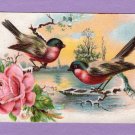 Happy Little Birds With Rose, Antique Embossed Nostalgic Postcard