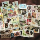 Worldwide Postage Stamps Dog Themed, Large Collection