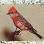 Bird Vermillion Flycatcher Postcard, Colorful, Fauna, Avian