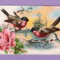 Antique Embossed Color Postcard With Birds & Rose, Scenic