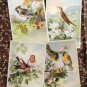 Birds & Flowers Color Postcard, Alfred Mainzer, Miniatue Art Replications