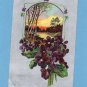 African Violets Old Antique Postcard With Sunset, Floral, Pretty Flowers