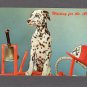 Waiting For The Alarm Dalmation, Spotted Dog Full Color Vintage Postcard