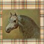Arabian Stallion Large Postcard, Ibn Raffon, Horse