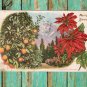 Poinsettia Postcard, Merry Xmas, Orange Tree Embossed