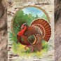Thanksgivlng Holiday Postcard Embossed, With Turkey