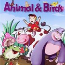 Animals & Birds (My Knowledge Book) [Paperback] [Jun 22, 2011] Pegasus