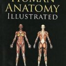 Human Anatomy Illustrated: 30 Coloured Illustrations With Marking. [Paperback