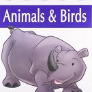 Animals & Birds (My Very First Preschool Book) [Paperback] [Apr 01, 2008]