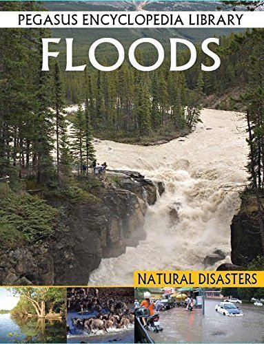 Floods (Pegasus Encyclopedia Library) [Sep 01, 2011] Tomar, Pallabi B. and Iplani