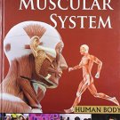 Muscular Systemhuman Body [Mar 01, 2011] Pegasus