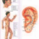 4 Acupunture Charts [Apr 01, 2008] B. Jain