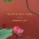 The God of Small Things: A Novel [Paperback] [Jan 01, 2008] Arundhati Roy