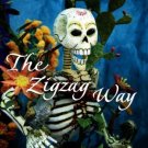 The Zigzag Way [Paperback] [May 09, 2005] Desai, Anita