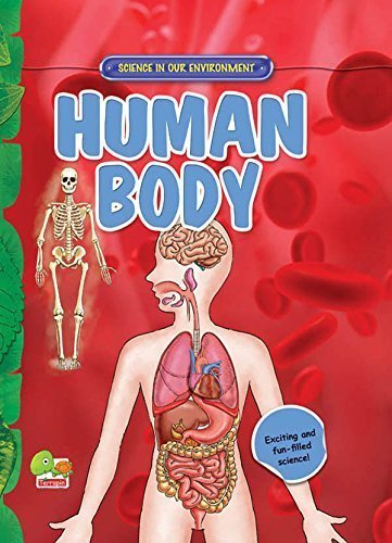 Human Body: Key stage 2 [Jan 01, 2011] Kumar, Aanchal Broca