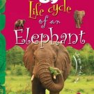 Life Cycle of an Elephant: Key stage 1 [Jan 01, 2011] Mukherjee, Vijita