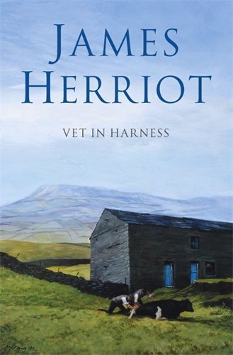 VET IN HARNESS