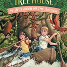 MAGIC TREE HOUSE #6