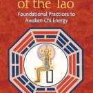 Healing Light of the Tao: Foundational Practices to Awaken Chi Energy