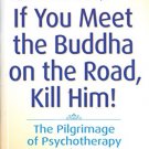 IF YOU MEET THE BUDDHA ON THE ROAD KILL HIM