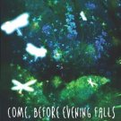 COME BEFORE EVENING FALLS
