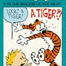 CALVIN AND HOBBS:SHADOW OF THE NIGH