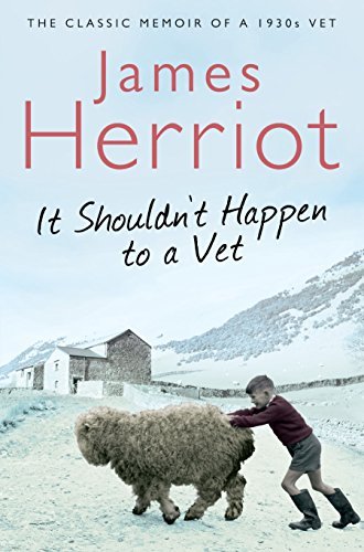 IT SHOULDNT HAPPEN TO A VET
