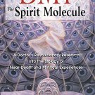 DMT THE SPIRIT MOLECULE