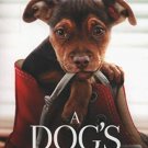 A Dogs Way Home