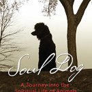 SOUL DOG