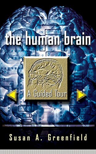 Human brain