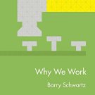 Why We Work # TED