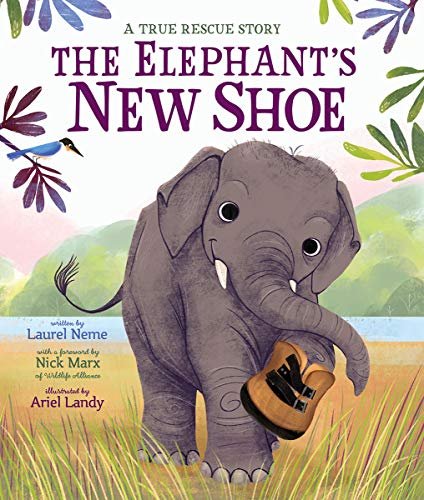 The ElephantS New Shoe