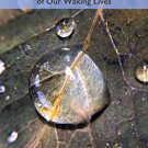 Dream Patterns: Revealing the Hidden Patterns of our Waking Lives
