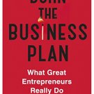 Burn The Business Plan