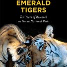 THE RISE AND FALL OF THE EMERALD TIGERS