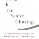 Stop Biting the Tail Youre Chasing