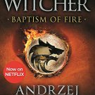 Baptism of Fire: The Witcher 3