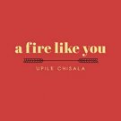 A Fire Like You