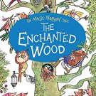 The Magic Faraway Tree: The Enchanted Wood