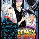 Demon Slayer: Kimetsu No Yaiba 16