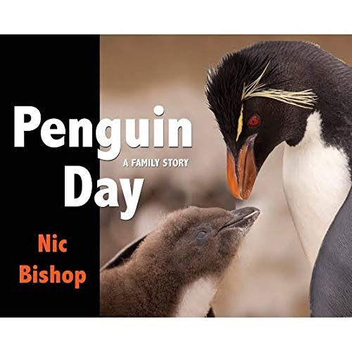 Penguin Day