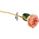 Lacquered Cream Pink Rose with Gold Trim